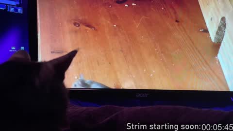 Snapshot of booker_baxton chatting on February 2025 04:05:01 AM Booker Baxton online show from February 2025 04:05:01 AM