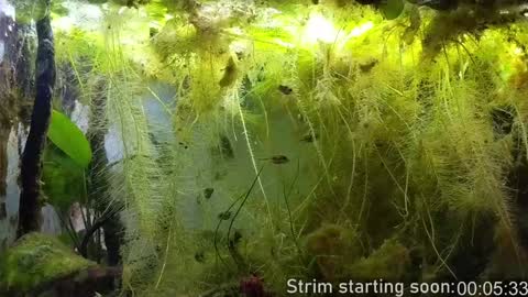 Snapshot of booker_baxton chatting on February 2025 04:05:01 AM Booker Baxton online show from February 2025 04:05:01 AM