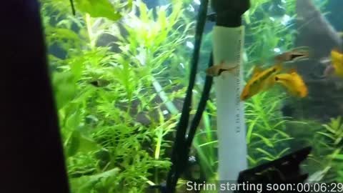 Snapshot of booker_baxton chatting on February 2025 04:03:02 AM Booker Baxton online show from February 2025 04:03:02 AM