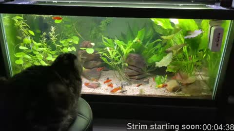 Snapshot of booker_baxton chatting on February 2025 04:04:01 AM Booker Baxton online show from February 2025 04:04:01 AM