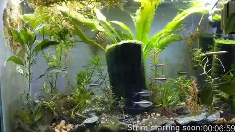 Snapshot of booker_baxton chatting on February 2025 04:01:01 AM Booker Baxton online show from February 2025 04:01:01 AM