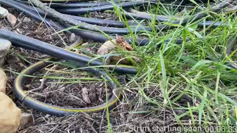 Snapshot of booker_baxton chatting on March 2025 04:02:02 AM Booker Baxton online show from March 2025 04:02:02 AM