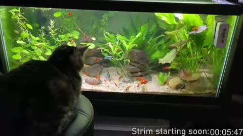 Snapshot of booker_baxton chatting on September 2025 03:06:02 AM Booker Baxton online show from September 2025 03:06:02 AM