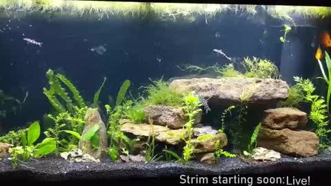 Snapshot of booker_baxton chatting on September 2025 03:08:02 AM Booker Baxton online show from September 2025 03:08:02 AM