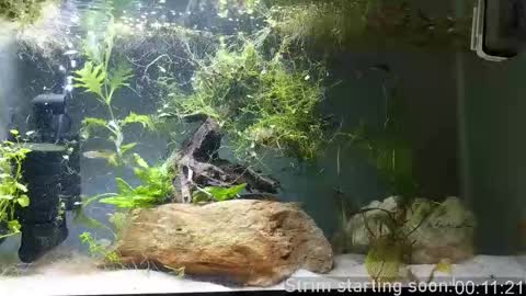 Snapshot of booker_baxton chatting on September 2025 02:57:02 AM Booker Baxton online show from September 2025 02:57:02 AM