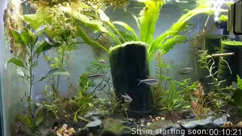 Snapshot of booker_baxton chatting on September 2025 02:58:02 AM Booker Baxton online show from September 2025 02:58:02 AM