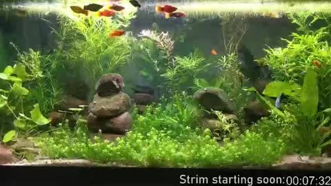 Snapshot of booker_baxton chatting on October 2025 03:04:02 AM Booker Baxton online show from October 2025 03:04:02 AM