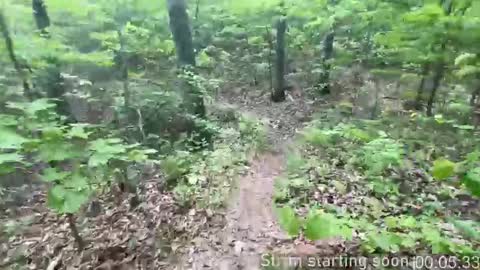 Snapshot of booker_baxton chatting on October 2025 03:04:02 AM Booker Baxton online show from October 2025 03:04:02 AM