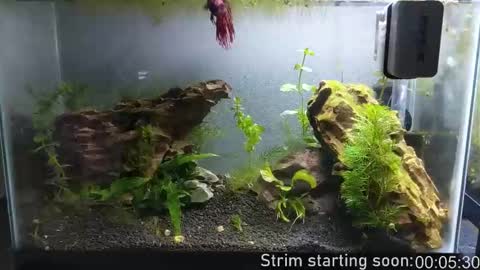 Snapshot of booker_baxton chatting on October 2025 03:05:01 AM Booker Baxton online show from October 2025 03:05:01 AM