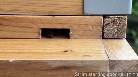 Snapshot of booker_baxton chatting on October 2025 02:56:01 AM Booker Baxton online show from October 2025 02:56:01 AM