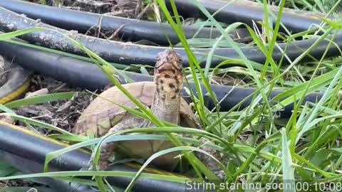 Snapshot of booker_baxton chatting on October 2025 02:57:02 AM Booker Baxton online show from October 2025 02:57:02 AM