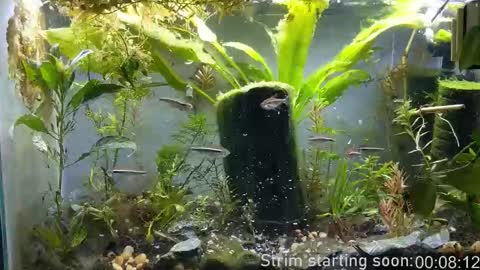 Snapshot of booker_baxton chatting on November 2025 04:00:01 AM Booker Baxton online show from November 2025 04:00:01 AM