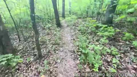 Snapshot of booker_baxton chatting on November 2025 04:01:02 AM Booker Baxton online show from November 2025 04:01:02 AM