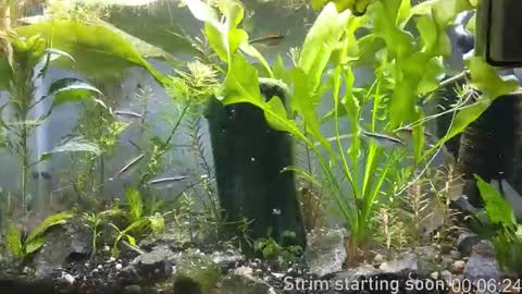 Snapshot of booker_baxton chatting on November 2025 04:00:01 AM Booker Baxton online show from November 2025 04:00:01 AM