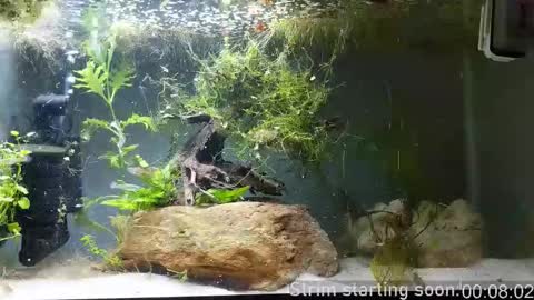 Snapshot of booker_baxton chatting on November 2025 04:02:02 AM Booker Baxton online show from November 2025 04:02:02 AM