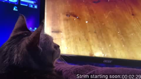 Snapshot of booker_baxton chatting on November 2025 04:07:02 AM Booker Baxton online show from November 2025 04:07:02 AM