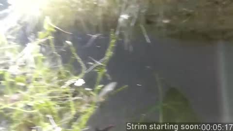 Snapshot of booker_baxton chatting on November 2025 04:03:02 AM Booker Baxton online show from November 2025 04:03:02 AM