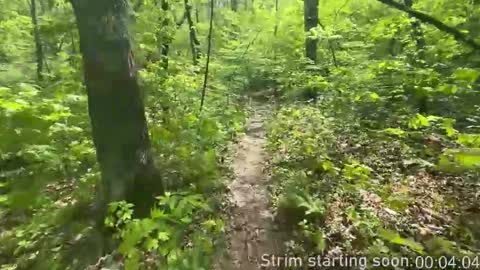 Snapshot of booker_baxton chatting on November 2025 04:04:01 AM Booker Baxton online show from November 2025 04:04:01 AM