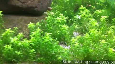 Booker Baxton online show from February 2026 03:58:02 AM