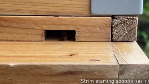 Booker Baxton online show from April 2026 03:04:02 AM