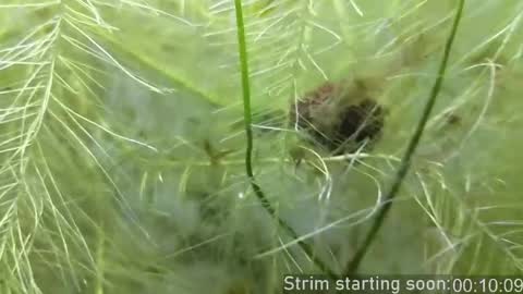 Booker Baxton online show from April 2026 02:58:01 AM