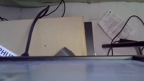 LOLAH online show from May 2026 10:12:01 AM