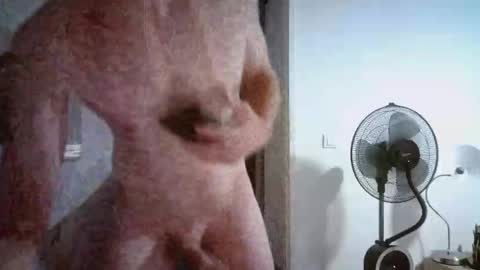 borderlanddu13 online show from October 2025 05:08:01 PM