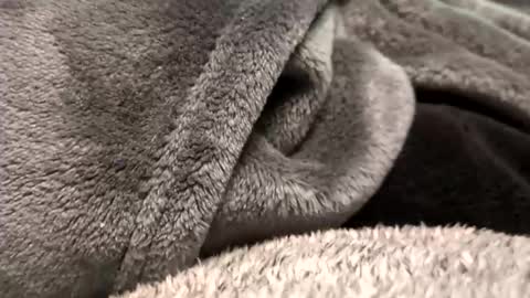 Borderslad1101 online show from November 2025 03:56:02 PM