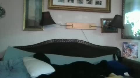 boredaf6678 online show from December 2024 10:50:02 AM