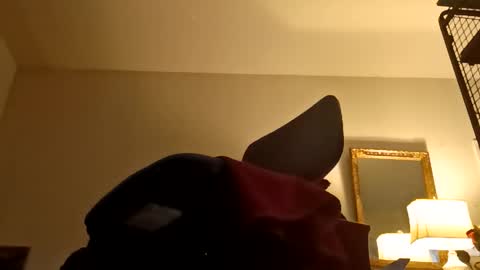 Snapshot of boredaf6678 chatting on February 2026 11:53:02 PM boredaf6678 online show from February 2026 11:53:02 PM