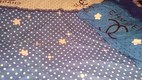 bossetassy online show from December 2025 04:45:02 PM