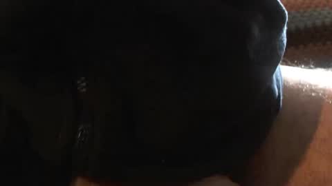 bossram160 online show from March 2025 09:36:02 AM