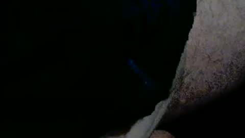 bossram160 online show from December 2025 06:41:01 AM