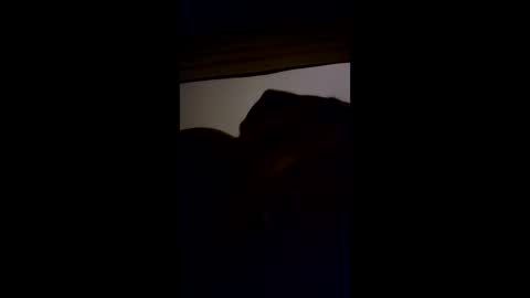 bottomready3 online show from March 2026 06:20:01 AM