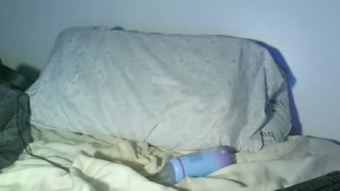 Snapshot of bowser2334 chatting on January 2025 10:22:01 AM Jason Jax online show from January 2025 10:22:01 AM