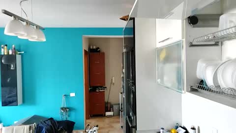 Dan online show from September 2025 10:26:02 AM