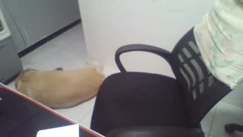 Snapshot of boy_fitbrutal chatting on December 2025 01:55:02 AM boy_fitbrutal online show from December 2025 01:55:02 AM