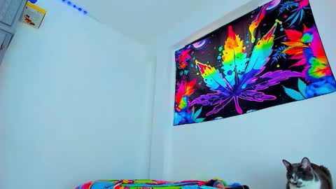 Snapshot of boy_trans chatting on February 2026 06:46:01 PM Edward ftm trans queerslave online show from February 2026 06:46:01 PM