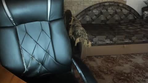 BoyApollon online show from December 2024 07:38:02 AM