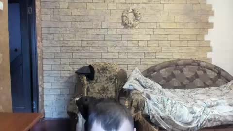 BoyApollon online show from December 2024 12:11:02 PM