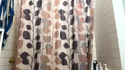 boysetsfire34 online show from January 2025 12:46:01 AM