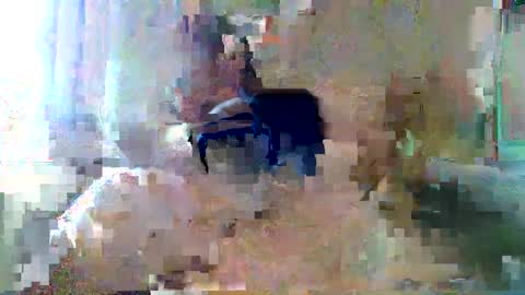 bpbww online show from September 2025 04:40:02 PM