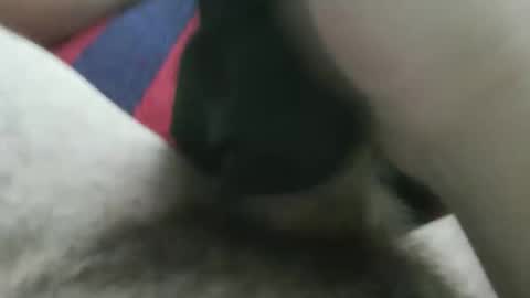 bpllpd online show from December 2025 12:41:01 AM