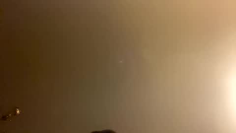 Brain Ortega online show from February 2026 01:01:02 PM