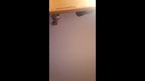 brandon281997 online show from April 2026 12:06:02 PM