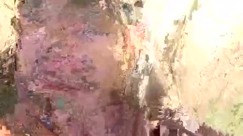 Brandon online show from January 2025 11:53:01 AM