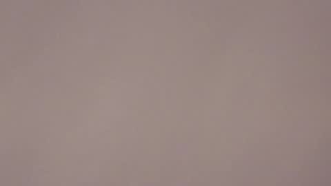 Snapshot of brandy_collinss chatting on January 2026 07:24:02 AM Brandy online show from January 2026 07:24:02 AM