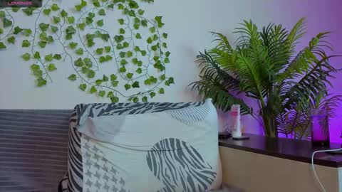 Snapshot of bravo_maestro chatting on September 2025 06:20:02 PM Johny Bravo online show from September 2025 06:20:02 PM