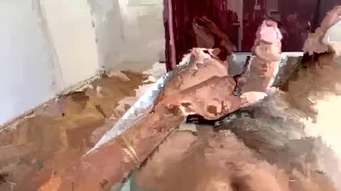 brazilianb0yy online show from August 2026 12:07:02 PM