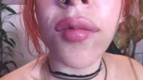 Bri  online show from February 2026 10:24:02 PM